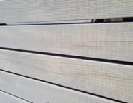 \\app\OnlineShop\Bauen mit Holz\Fassadenverkleidung\09107700_1.png