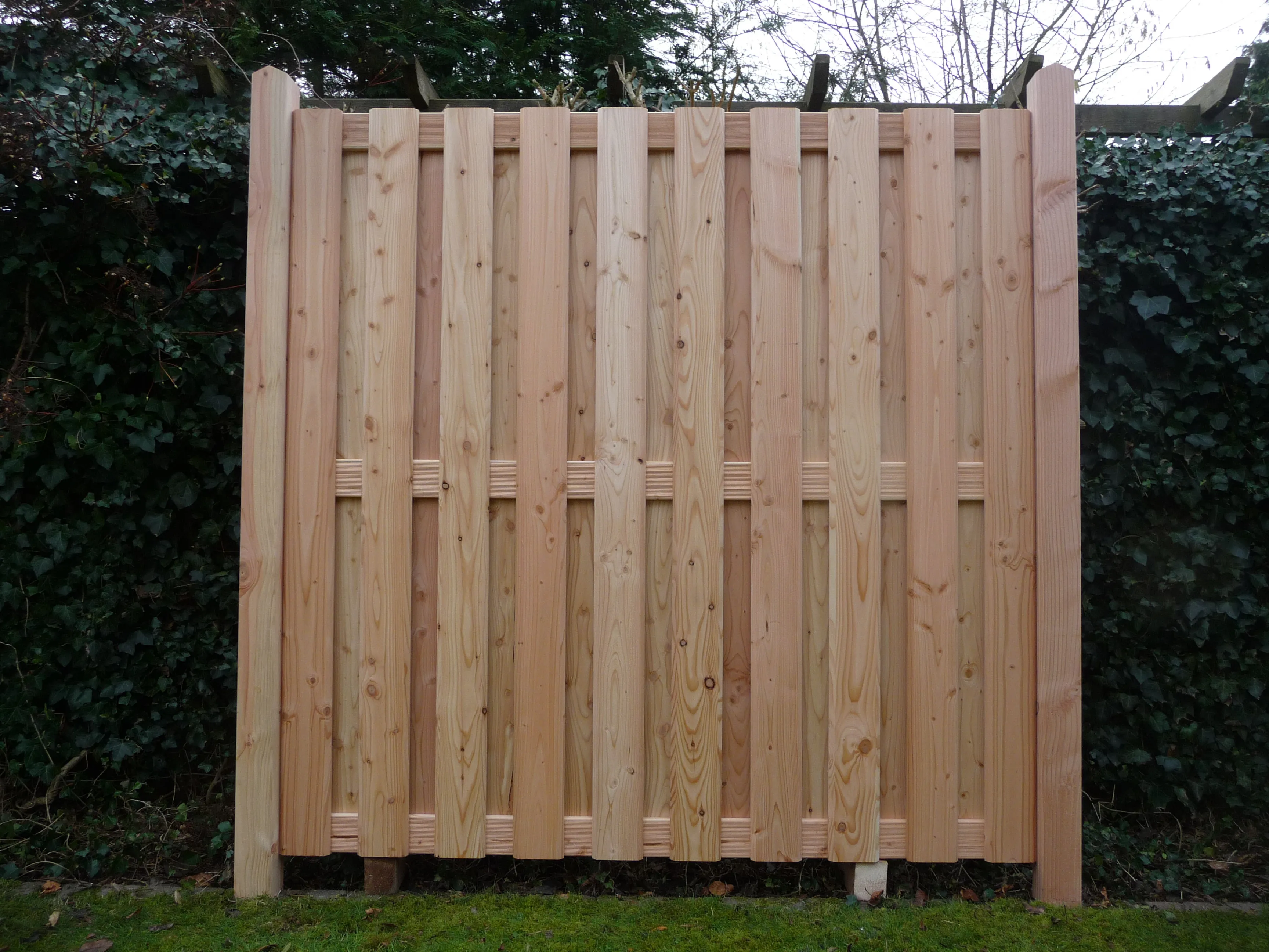 Sichtblende Erle 125 x 180 cm