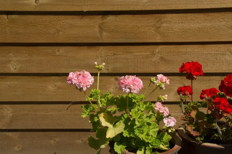 Sichtblende FT Premium System 180x167 cm