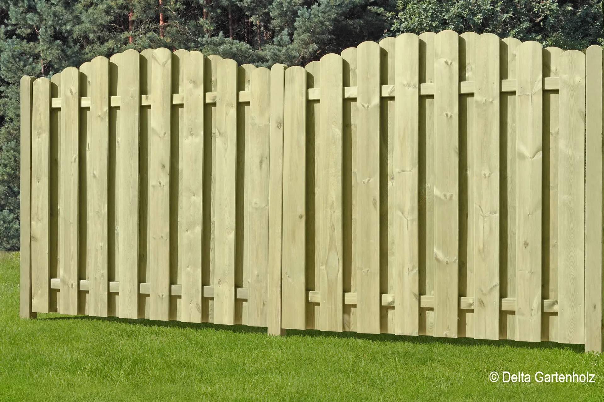 Sichtblende Boleo Bogen   180x180/160 cm