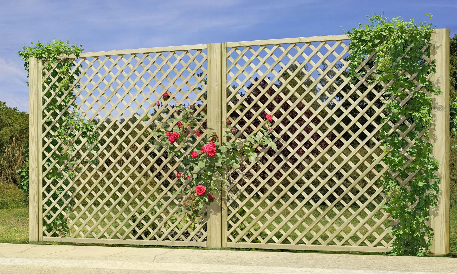 \\APP\OnlineShop\Garten & Freizeit\Nützliches & Dekoratives\62054397.jpg