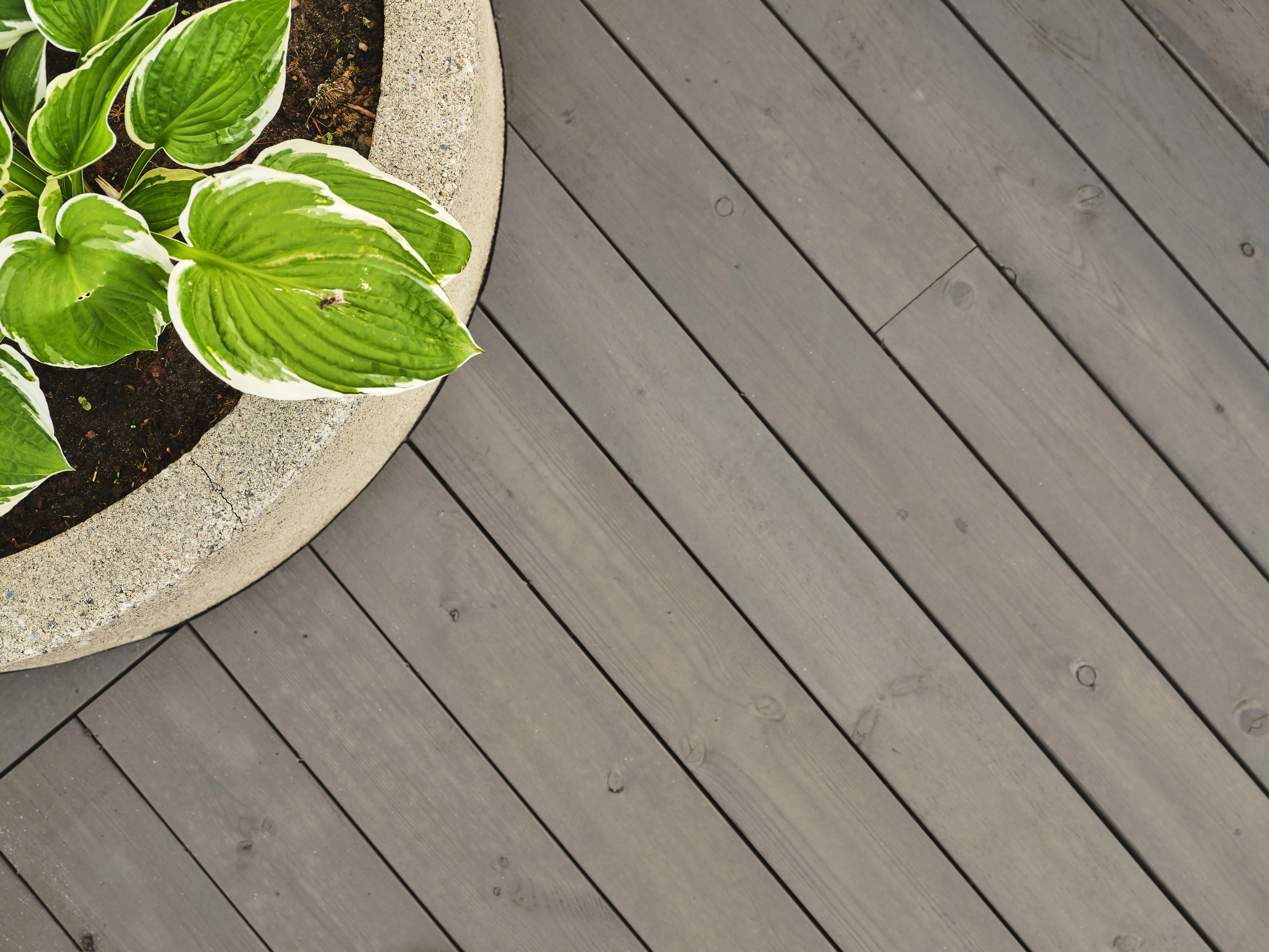 28x120mm MoreRoyal-Terrassendiele