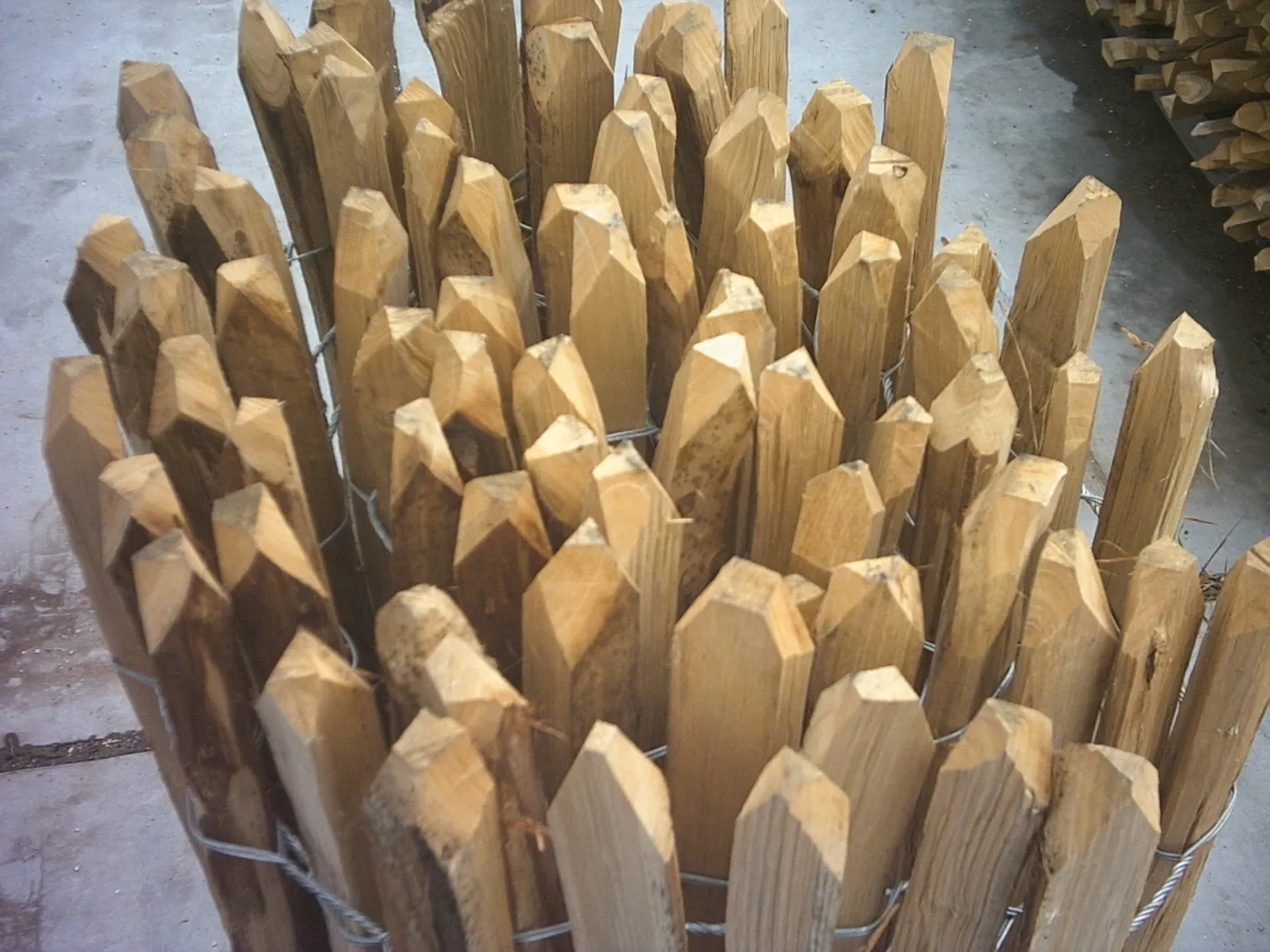 Englische Kastanienzaun, 3 Dr&auml;hte