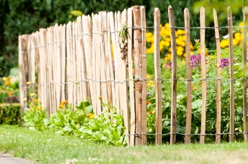 Englische Kastanienzaun, 3 Dr&auml;hte