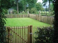 Englische Kastanienzaun, 3 Dr&auml;hte