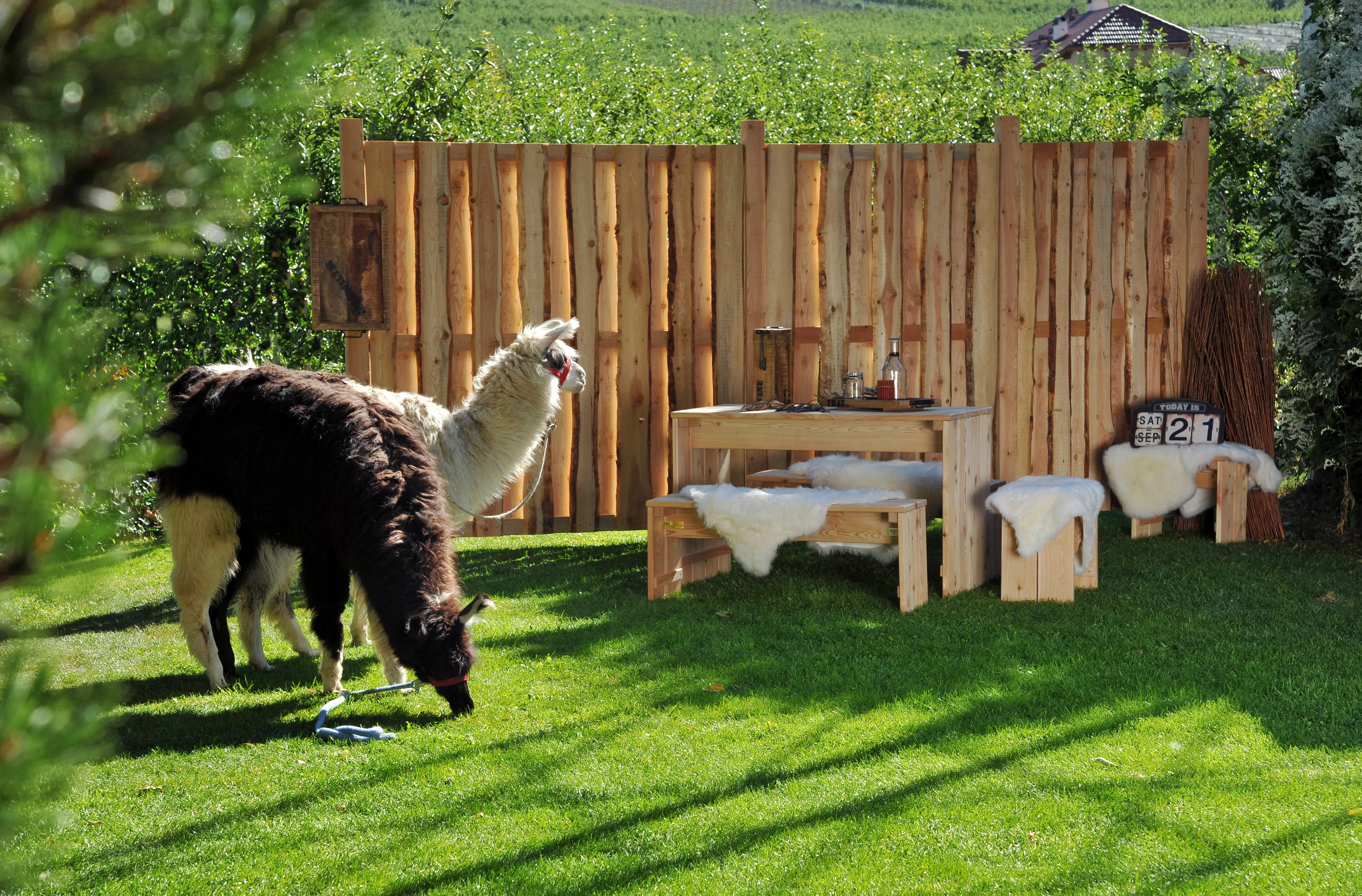 Sichtblende Country         179 x 179 cm