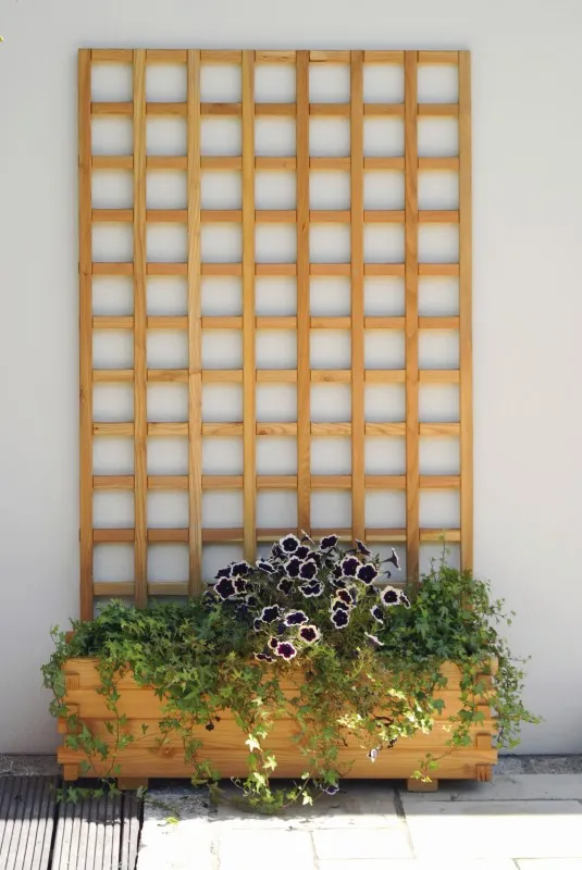 Rankgitter Seis              94 x 172 cm