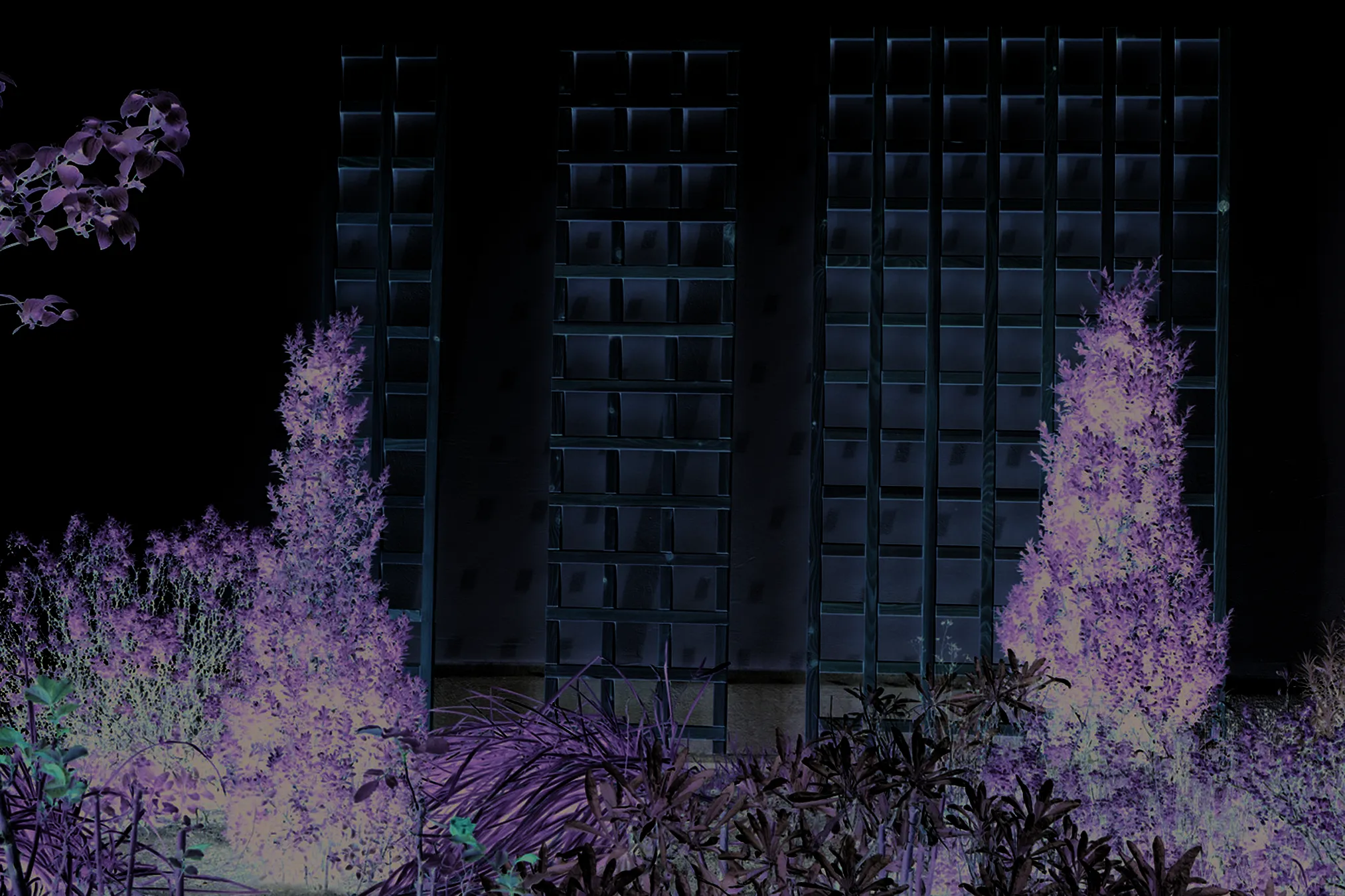 \\APP\OnlineShop\Garten & Freizeit\Nützliches & Dekoratives\65250535.jpg