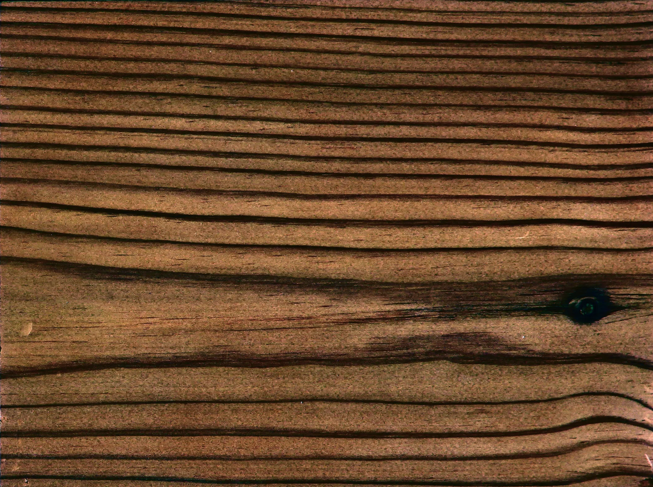 Sichtblende Trio             180x180cm