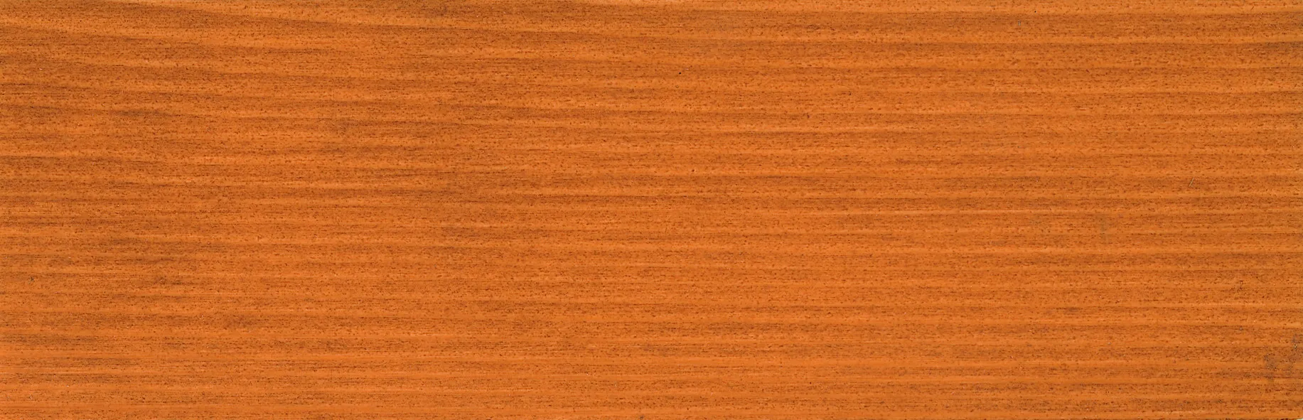 \\app\OnlineShop\Zubehör\Holzschutz & Farben\99520025.jpg